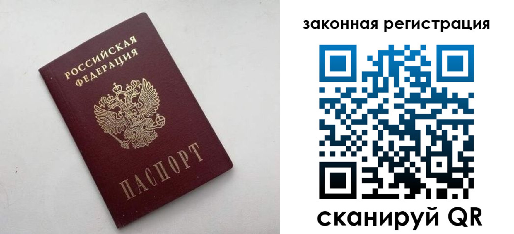 прописка гарантия в Гаджиево